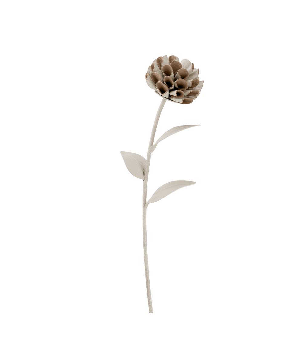 Dalium 花卉 - 粉笔白牛皮拼接