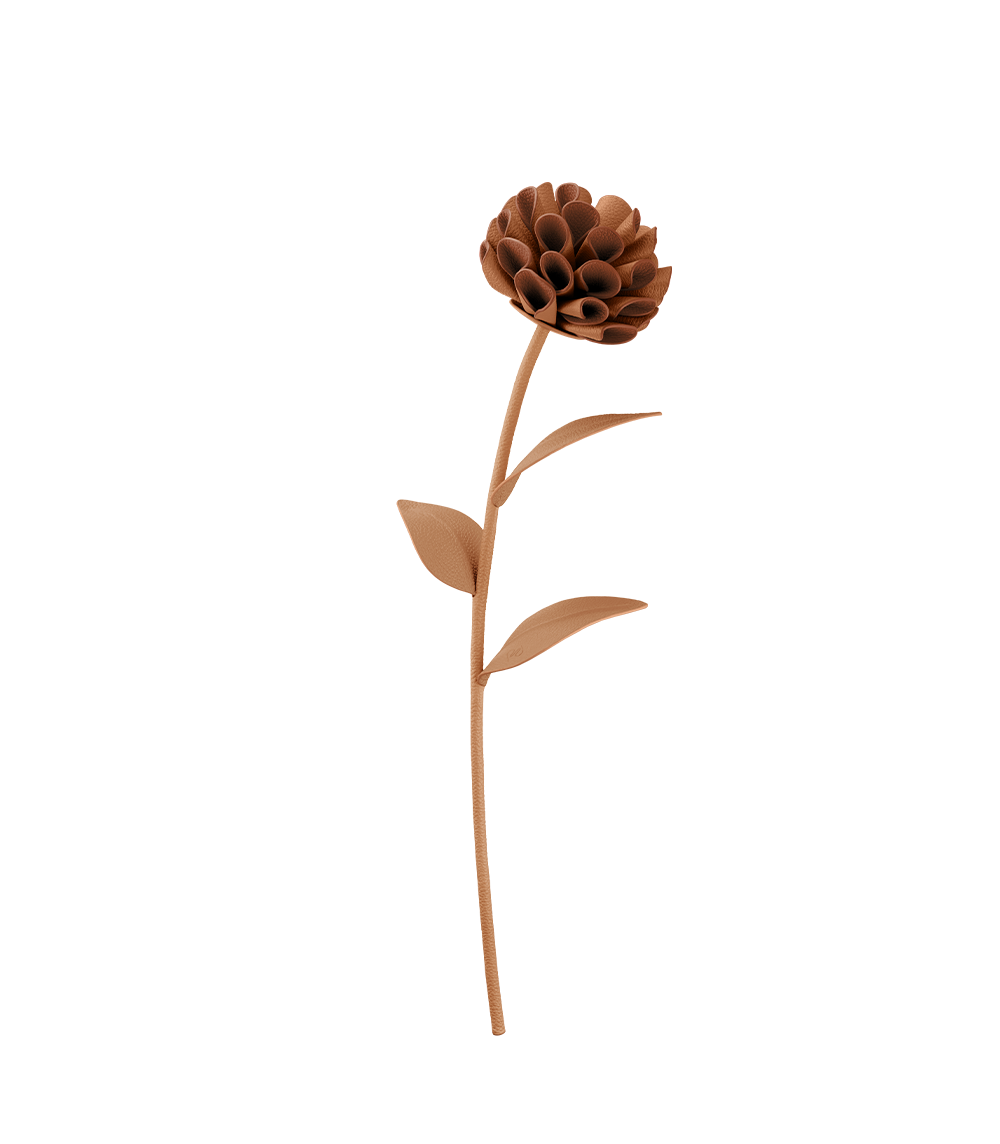 Dalium 花卉 - 浅棕色牛皮拼接