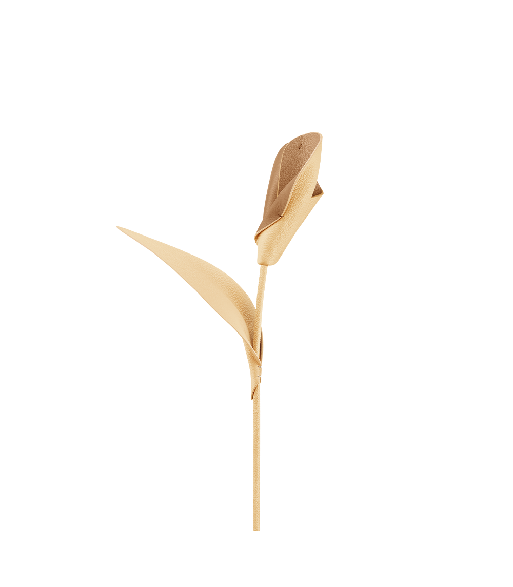 Pili 花卉 - 香草黄牛皮拼接